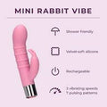 Mini Rabbit Vibe
